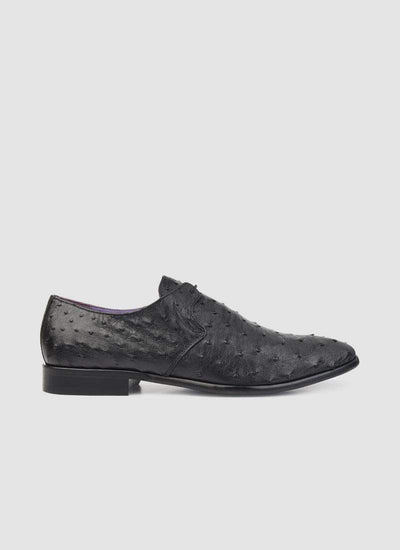 Apollo Lace-ups 