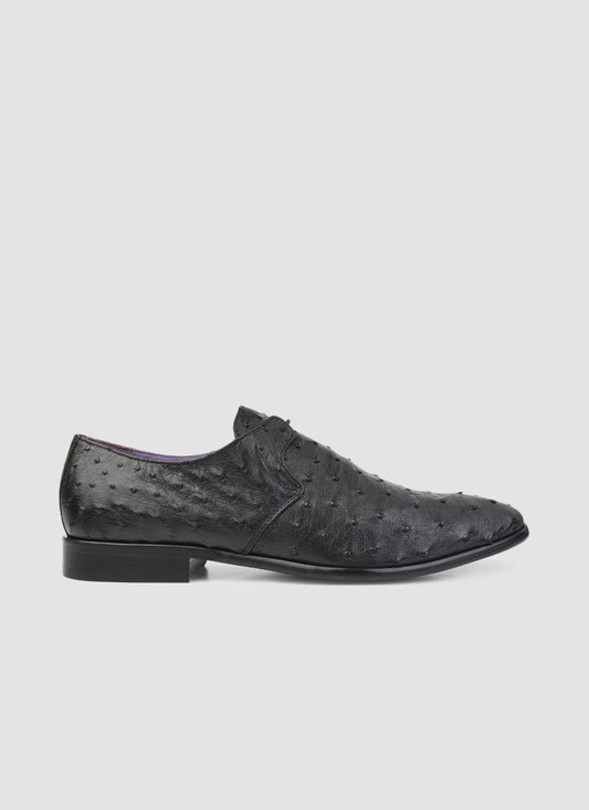 Apollo Lace-ups - Language Shoes