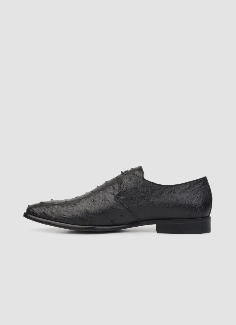 Apollo Lace-ups - Language Shoes