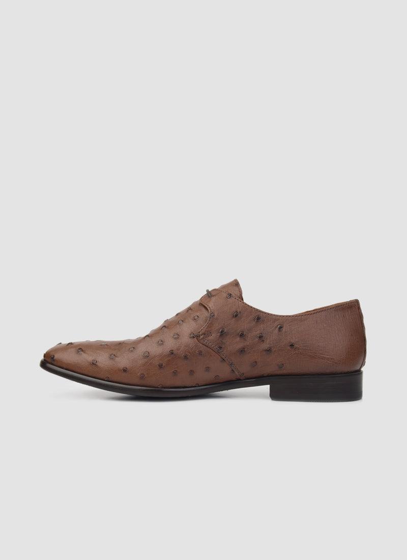 Apollo Lace-ups - Language Shoes
