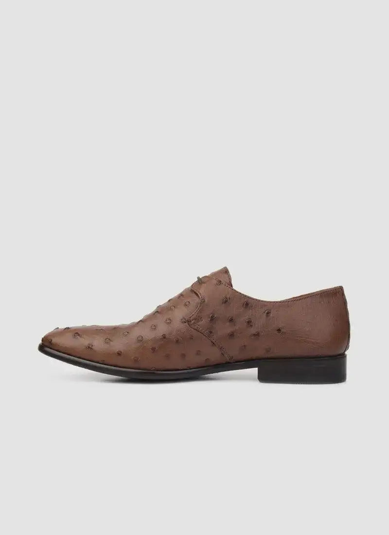 Apollo Lace-ups 