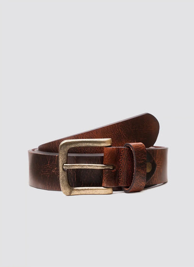 Joel Belt 