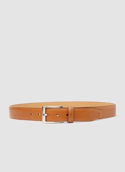 Alden Belt #