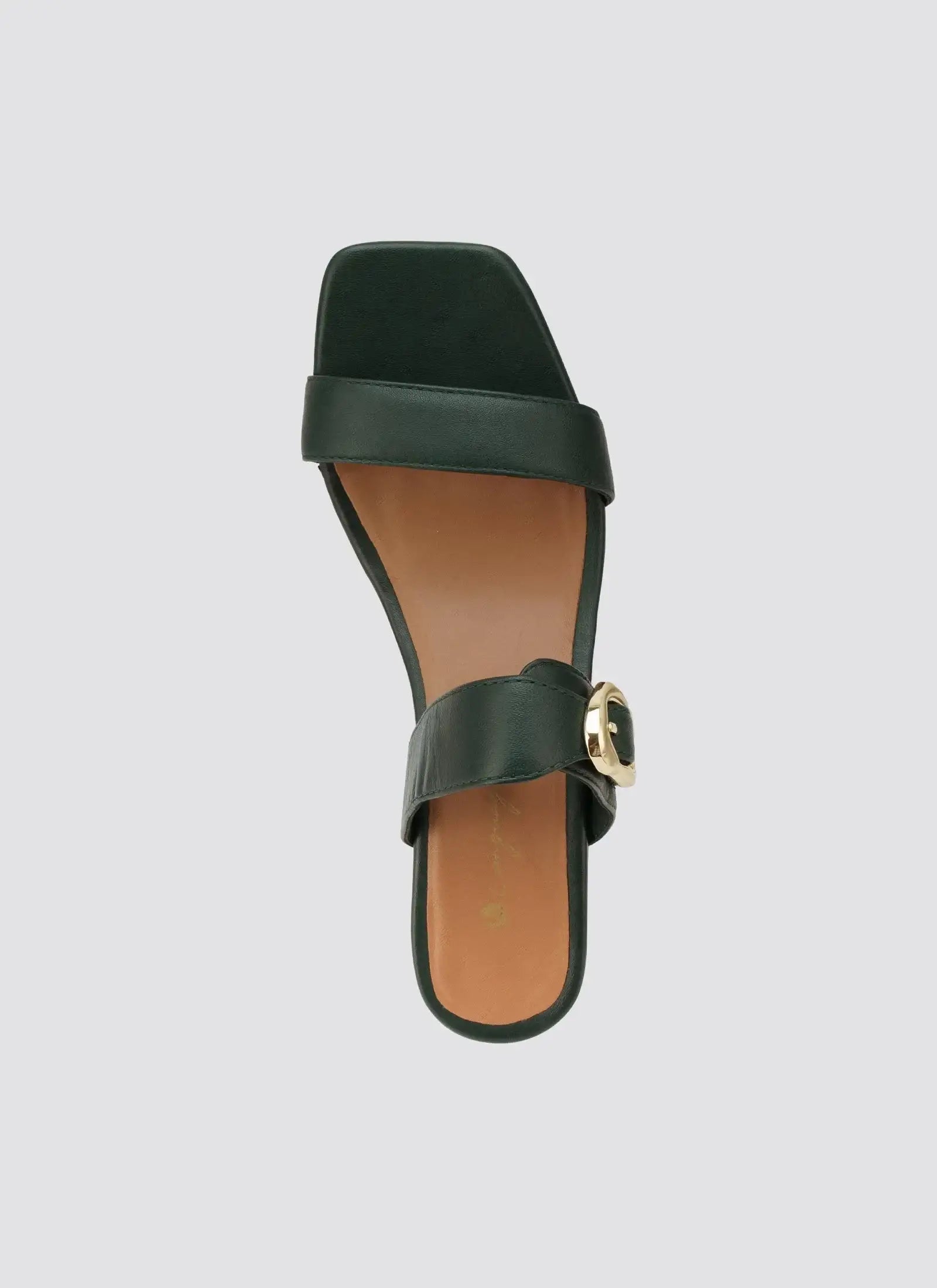Green women's sandal with gold buckle and square toe on white background  